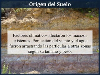 Origen del Suelo




  Factores climáticos afectaron los macizos
  existentes. Por acción del viento y el agua
fueron arrastrando las partículas a otras zonas
           según su tamaño y peso.
 