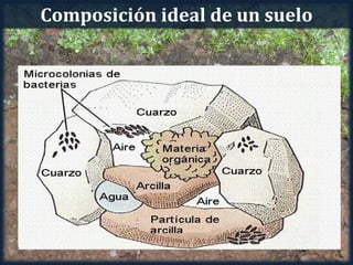 Composición ideal de un suelo
 