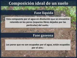 Composición ideal de un suelo

                         Fase líquida
Esta compuesta por el agua en disolución que se encuentra
   retenida en los poros (espacios libres dejados por las
                   partículas) del suelo.-



                        Fase gaseosa

Los poros que no son ocupados por el agua, están ocupados
                       por el aire.-
 