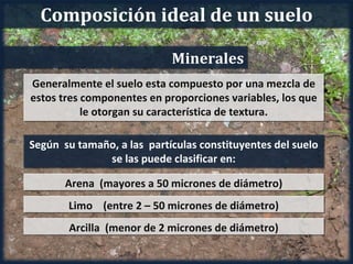 Composición ideal de un suelo

                            Minerales
Generalmente el suelo esta compuesto por una mezcla de
estos tres componentes en proporciones variables, los que
           le otorgan su característica de textura.

Según su tamaño, a las partículas constituyentes del suelo
              se las puede clasificar en:

       Arena (mayores a 50 micrones de diámetro)
       Limo (entre 2 – 50 micrones de diámetro)
       Arcilla (menor de 2 micrones de diámetro)
 