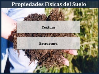 Propiedades Físicas del Suelo



           Textura



          Estructura
 