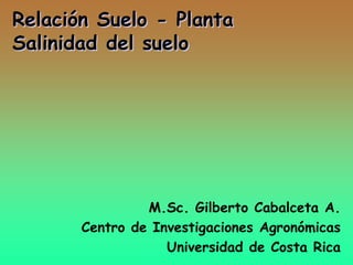 Relación Suelo - Planta
Salinidad del suelo
M.Sc. Gilberto Cabalceta A.
Centro de Investigaciones Agronómicas
Universidad de Costa Rica
 