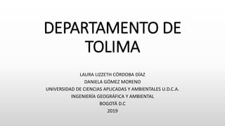 DEPARTAMENTO DE
TOLIMA
LAURA LIZZETH CÓRDOBA DÍAZ
DANIELA GÓMEZ MORENO
UNIVERSIDAD DE CIENCIAS APLICADAS Y AMBIENTALES U.D.C.A.
INGENIERÍA GEOGRÁFICA Y AMBIENTAL
BOGOTÁ D.C
2019
 
