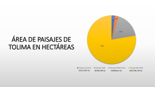 2%
2%
18%
78%
Paisaje Lomerío Paisaje Valle Paisaje Piedemonte Paisaje Montaña
55271,497 Ha 1851738,734 Ha420448,41 Ha56706,789 Ha
ÁREA DE PAISAJES DE
TOLIMA EN HECTÁREAS
 
