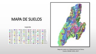 MAPA DE SUELOS
Mapa de suelos en el departamento de Tolima.
Fuente: IDEAM; UDCA, 2017.
Leyenda
 