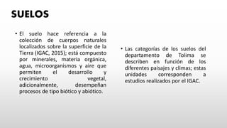 SUELOS
• El suelo hace referencia a la
colección de cuerpos naturales
localizados sobre la superficie de la
Tierra (IGAC, 2015); está compuesto
por minerales, materia orgánica,
agua, microorganismos y aire que
permiten el desarrollo y
crecimiento vegetal,
adicionalmente, desempeñan
procesos de tipo biótico y abiótico.
• Las categorías de los suelos del
departamento de Tolima se
describen en función de los
diferentes paisajes y climas; estas
unidades corresponden a
estudios realizados por el IGAC.
 