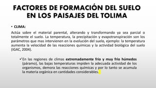 FACTORES DE FORMACIÓN DEL SUELO
EN LOS PAISAJES DEL TOLIMA
• CLIMA:
Actúa sobre el material parental, alterando y transformando ya sea parcial o
totalmente el suelo. La temperatura, la precipitación y evapotranspiración son los
parámetros que mas intervienen en la evolución del suelo, ejemplo: la temperatura
aumenta la velocidad de las reacciones químicas y la actividad biológica del suelo
(IGAC, 2004).
En las regiones de climas extremadamente frio y muy frio húmedos
(páramo), las bajas temperaturas impiden la adecuada actividad de los
organismos, demora las reacciones químicas y por lo tanto se acumula
la materia orgánica en cantidades considerables.
 