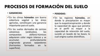 PROCESOS DE FORMACIÓN DEL SUELO
• GANANCIAS:
En los climas húmedos con buena
cobertura vegetal y las áreas
agrícolas, constituyen una ganancia
importante para el suelo.
En los suelos derivados de cenizas
volcánicas (andisoles), los
compuestos alófano-húmicos
adquieren color negro intenso y se
acumulan profundamente
originando gruesos epipedones
(horizontes formados en la
superficie).
• PERDIDAS:
En las regiones húmedas, en
donde la precipitación es mayor
que la evapotranspiración y donde
la capacidad de agua que penetra
en el perfil es mayor a la
capacidad de retención del suelo,
sucede un lavado de las bases; lo
cual origina suelos distróficos.
 
