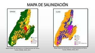 MAPA DE SALINIZACIÓN
GRADO CLASE
Mapa Clases de salinización en el departamento de Tolima.
Fuente: IDEAM;,UDCA, 2017.
Mapa Grados de salinización en el departamento de Tolima.
Fuente: IDEAM, UDCA, 2017.
 