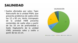 SALINIDAD
• Suelos afectados por sales: Typic
Natrustalfs de la unidad PWH, que
presenta problemas de sodio entre
los 12 y 82 cm; Vertic Ustropepts
de la unidad VWB presenta
contenidos de sodio altos a partir
de los 33 cm de profundidad y
Sodic Haplusterts de la unidad
VWB, presenta sales y sodio a
partir de los 15 cm.
62%
8%
24%
3%
3%
SALINIZACIÓN
Muy Ligero Ligera Modedo Muy Severo No suelo
 