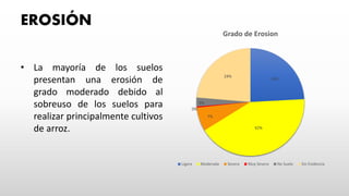 24%
42%
7%
0%
3%
24%
Grado de Erosion
Ligera Moderada Severa Muy Severa No Suelo Sin Evidencia
• La mayoría de los suelos
presentan una erosión de
grado moderado debido al
sobreuso de los suelos para
realizar principalmente cultivos
de arroz.
EROSIÓN
 