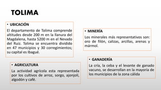 TOLIMA
• UBICACIÓN
El departamento de Tolima comprende
altitudes desde 200 m en la llanura del
Magdalena, hasta 5200 m en el Nevado
del Ruiz. Tolima se encuentra dividido
en 47 municipios y 30 corregimientos;
su capital es Ibagué.
• AGRICULTURA
La actividad agrícola esta representada
por los cultivos de arroz, sorgo, ajonjolí,
algodón y café.
• GANADERÍA
La cría, la ceba y el levante de ganado
vacuno, se desarrollan en la mayoría de
los municipios de la zona cálida
• MINERÍA
Los minerales más representativos son:
oro de filón, calizas, arcillas, arenas y
mármol.
 