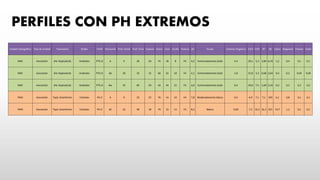 PERFILES CON PH EXTREMOS
Unidad Cartográfica Tipo de Unidad Taxonomía Orden Perfil Horizonte Prof. Inicial Prof. Final Espesor Arena Limo Arcilla Textura pH Escala Carbono Orgánico CICA CICE BT SB Calcio Magnesio Potasio Sódio
MKC Asociación Alic Hapludands Andisoles PTS-I2 A 0 20 20 74 18 8 FA 4,2 Extremadamente ácido 4,4 29,1 5,3 1,80 6,19 1,2 0,4 0,1 0,1
MKC Asociación Alic Hapludands Andisoles PTS-I2 Ab 20 35 15 60 22 18 FA 4,1 Extremadamente ácido 1,8 25,8 3,3 0,68 2,64 0,4 0,2 0,04 0,04
MKC Asociación Alic Hapludands Andisoles PTS-I2 Bw 35 85 50 44 34 22 FA 4,0 Extremadamente ácido 0,4 29,9 7,5 1,00 3,34 0,4 0,2 0,2 0,2
PWH Asociación Typic Ustorthents Entisoles PH-2 A 0 22 22 76 14 10 FA 7,8 Moderadamente básico 0,4 6,9 7,1 7,1 103 6,1 0,8 0,1 0,1
PWH Asociación Typic Ustorthents Entisoles PH-2 AC 22 40 18 74 12 14 FA 8,3 Básico 0,69 7,3 16,1 16,1 221 14,7 1,2 0,1 0,1
 