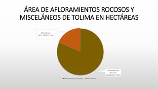 ÁREA DE AFLORAMIENTOS ROCOSOS Y
MISCELÁNEOS DE TOLIMA EN HECTÁREAS
Afloramientos
Rocosos,
41993.86177, 82%
Misceláneo,
9477.599822, 18%
Afloramientos Rocosos Misceláneo
 