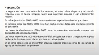 • VEGETACIÓN
La vegetación que crece cerca de los nevados, es muy pobre, dispersa y de tamaño
reducido, esta en forma irregular sobre una superficie arenosa y con afloramientos
rocosos.
En la franja entre los 3000 y 4000 msnm se observa vegetación arbustiva y arbórea.
En la franja entre los 2000 y 3000 m se han hecho grandes talas para el establecimiento
de ganadería.
Las tierras localizadas entre 1000 y 2000 msnm se encuentran escasos de bosques para
dedicarlas a la actividad agrícola.
Las zonas menores de 1000 m presentan déficit de agua por lo cual la vegetación es poco
exuberante. Las áreas mas planas son las mas deforestadas.
En el clima cálido seco se encuentran algunas especies arbóreas cerca de los cursos de
agua y en los linderos de petróleo
 