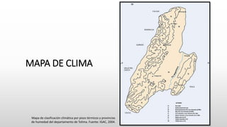 MAPA DE CLIMA
Mapa de clasificación climática por pisos térmicos y provincias
de humedad del departamento de Tolima. Fuente: IGAC, 2004.
 