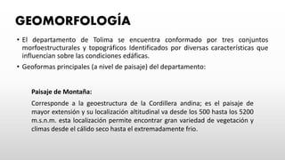 GEOMORFOLOGÍA
• El departamento de Tolima se encuentra conformado por tres conjuntos
morfoestructurales y topográficos Identificados por diversas características que
influencian sobre las condiciones edáficas.
• Geoformas principales (a nivel de paisaje) del departamento:
Paisaje de Montaña:
Corresponde a la geoestructura de la Cordillera andina; es el paisaje de
mayor extensión y su localización altitudinal va desde los 500 hasta los 5200
m.s.n.m. esta localización permite encontrar gran variedad de vegetación y
climas desde el cálido seco hasta el extremadamente frio.
 