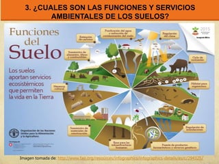 3. ¿CUALES SON LAS FUNCIONES Y SERVICIOS
AMBIENTALES DE LOS SUELOS?
Imagen tomada de: http://www.fao.org/resources/infographics/infographics-details/es/c/294325/
 