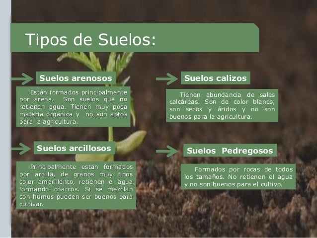 Suelos y plantas paisajismio