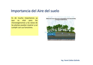 Importancia del Aire del suelo
Es de mucha importancia ya
que es vital para los
microorganismos y las raíces de
las plantas puedan respirar y así
cumplir con sus funciones.
 
