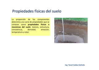 Propiedades físicas del suelo
La proporción de los componentes
determina una serie de propiedades que se
conocen como propiedades físicas o
mecánicas del suelo: textura, estructura,
consistencia, densidad, aireación,
temperatura y color.
 