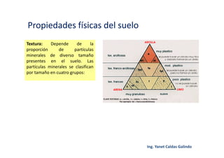 Propiedades físicas del suelo
Textura: Depende de la
proporción de partículas
minerales de diverso tamaño
presentes en el suelo. Las
partículas minerales se clasifican
por tamaño en cuatro grupos:
 
