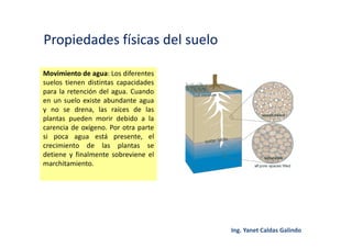 Propiedades físicas del suelo
Movimiento de agua: Los diferentes
suelos tienen distintas capacidades
para la retención del agua. Cuando
en un suelo existe abundante agua
y no se drena, las raíces de las
plantas pueden morir debido a la
carencia de oxígeno. Por otra parte
si poca agua está presente, el
crecimiento de las plantas se
detiene y finalmente sobreviene el
marchitamiento.
 