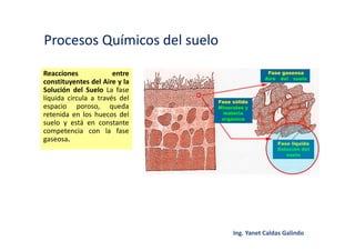Procesos Químicos del suelo
Reacciones entre
constituyentes del Aire y la
Solución del Suelo La fase
líquida circula a través del
espacio poroso, queda
retenida en los huecos del
suelo y está en constante
competencia con la fase
gaseosa.
 