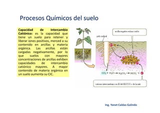 Procesos Químicos del suelo
Capacidad de Intercambio
Catiónico: es la capacidad que
tiene un suelo para retener y
liberar iones positivos, merced a su
contenido en arcillas y materia
orgánica. Las arcillas están
cargadas negativamente, por lo
que suelos con mayores
concentraciones de arcillas exhiben
capacidades de intercambio
catiónico mayores. A mayor
contenido de materia orgánica en
un suelo aumenta su CIC.
 