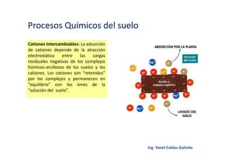 Procesos Químicos del suelo
Cationes Intercambiables: La adsorción
de cationes depende de la atracción
electrostática entre las cargas
residuales negativas de los complejos
húmicos-arcillosos de los suelos y los
cationes. Los cationes son “retenidos”
por los complejos y permanecen en
“equilibrio” con los iones de la
“solución del suelo”.
 