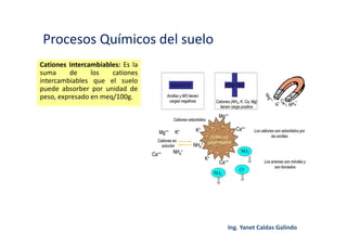 Procesos Químicos del suelo
Cationes Intercambiables: Es la
suma de los cationes
intercambiables que el suelo
puede absorber por unidad de
peso, expresado en meq/100g.
 