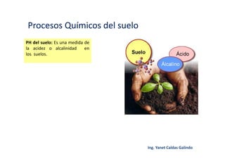 Procesos Químicos del suelo
PH del suelo: Es una medida de
la acidez o alcalinidad en
los suelos.
 