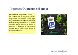 Procesos Químicos del suelo
PH del suelo: Propiedades físicas. Los
pH neutros son los mejores para las
propiedades físicas de los suelos. A pH
muy ácidos hay una intensa alteración
de minerales y la estructura se vuelve
inestable. En pH alcalino, la arcilla se
dispersa, se destruye la estructura y
existen malas condiciones desde el
punto de vista físico.
 