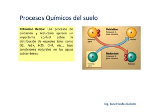 Procesos Químicos del suelo
Potencial Redox: Los procesos de
oxidación y reducción ejercen un
importante control sobre la
distribución de especies tales como
O2, Fe2+, H2S, CH4, etc.., bajo
condiciones naturales en las aguas
subterráneas.
 