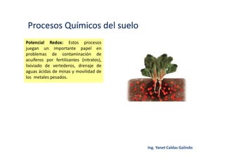 Procesos Químicos del suelo
Potencial Redox: Estos procesos
juegan un importante papel en
problemas de contaminación de
acuíferos por fertilizantes (nitratos),
lixiviado de vertederos, drenaje de
aguas ácidas de minas y movilidad de
los metales pesados.
 
