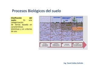 Procesos Biológicos del suelo
Clasificación del
suelo: Es una
categorización
de tierras basado en
características
distintivas y en criterios
de uso.
 