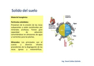 Solido del suelo
Material inorgánico
Partículas coloidales:
Provienen de la erosión de las rocas
subyacentes y están constituidas por
minerales arcillosos. Tienen gran
capacidad de adsorción
convirtiéndose en almacenes de agua
y nutrientes para las plantas.
Minerales: Los principales son el
cuarzo y diversos silicatos
procedentes de la disgregación de las
rocas ígneas y metamórficas.
 