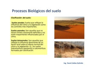 Procesos Biológicos del suelo
Clasificación del suelo:
Suelos zonales: Suelos que reflejan la
influencia del clima y la vegetación como
los controles más importantes.
Suelos azonales: Son aquellos que no
tienen limites claramente definidos y no
están mayormente influenciados por el
clima.
Suelos intrazonales: Son aquellos que
reflejan la influencia dominante de un
factor local sobre el efecto normal del
clima y la vegetación. Ej.: los suelos
hidromorficos (pantanos) o calcimorficos
formados por calcificación.
 