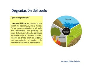 Degradación del suelo
Tipos de degradación:
La erosión hídrica: es causada por la
acción del agua (lluvia, ríos y mares).
En las zonas empinadas, si el suelo
está descubierto (sin plantas), las
gotas de lluvia arrastran las partículas
formando zanjas o cárcavas. Los ríos,
cuando las orillas están sin árboles,
van carcomiendo el suelo y lo
arrastran en las épocas de creciente.
 
