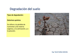Degradación del suelo
Tipos de degradación:
Deterioro químico
Se refiere a la pérdida de
nutrientes y de materia
orgánica, a la salinización, y a
la polución.
 