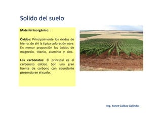 Solido del suelo
Material inorgánico:
Óxidos: Principalmente los óxidos de
hierro, de ahí la típica coloración ocre.
En menor proporción los óxidos de
magnesio, titanio, aluminio y cinc.
Los carbonatos: El principal es el
carbonato cálcico. Son una gran
fuente de carbono con abundante
presencia en el suelo.
 