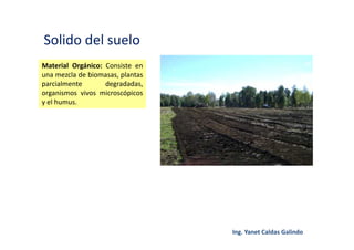 Solido del suelo
Material Orgánico: Consiste en
una mezcla de biomasas, plantas
parcialmente degradadas,
organismos vivos microscópicos
y el humus.
 
