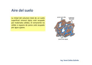 Aire del suelo
La mitad del volumen total de un suelo
superficial mineral típico está ocupado
por materiales sólidos. El remanente no
sólido o espacio de poros está ocupado
por agua y gases.
 
