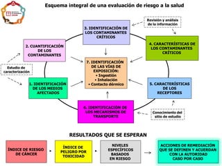 ÍNDICE DE RIESGO
DE CÁNCER
ÍNDICE DE
PELIGRO POR
TOXICIDAD
Esquema integral de una evaluación de riesgo a la salud
NIVELES
ESPECÍFICOS
BASADOS
EN RIESGO
4. CARACTERÍSTICAS DE
LOS CONTAMINANTES
CRÍTICOS
3. IDENTIFICACIÓN DE
LOS CONTAMINANTES
CRÍTICOS
1. IDENTIFICACIÓN
DE LOS MEDIOS
AFECTADOS
2. CUANTIFICACIÓN
DE LOS
CONTAMINANTES
6. IDENTIFICACIÓN DE
LOS MECANISMOS DE
TRANSPORTE
7. IDENTIFICACIÓN
DE LAS VÍAS DE
EXPOSICIÓN:
• Ingestión
• Inhalación
• Contacto dérmico 5. CARACTERÍSTICAS
DE LOS
RECEPTORES
RESULTADOS QUE SE ESPERAN
ACCIONES DE REMEDIACIÓN
QUE SE DEFINEN Y ACUERDAN
CON LA AUTORIDAD
CASO POR CASO
Estudio de
caracterización
Conocimiento del
sitio de estudio
Revisión y análisis
de la información
 