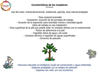 Características de los receptores
(Humanos)
Uso del suelo: industrial/comercial, residencial, agrícola, área natural protegida
- Peso corporal promedio
- Exposición: duración de las jornadas de trabajo
- Duración de la exposición para toxicidad crónica y toxicidad aguda
(años de trabajo en esa instalación)
- Área superficial de la piel que podría estar en contacto directo con el contaminante
- Factor de adherencia a la piel
- Ingestión diaria de agua y de suelo
- Contacto dérmico e ingestión de aguas superficiales
- Consumo de pescado
- Recursos naturales no biológicos (suelo de conservación y agua ambiental)
- Especies protegidas y/o en peligro de extinción
- Especies con valor y/o uso económico
 