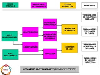 SUELO
SUBSUPERFICIAL
AGUA
SUBTERRÁNEA
MEDIO
AFECTADO
MECANISMOS
DE TRANSPORTE
VOLATILIZACIÓN
LIXIVIACIÓN
INHALACIÓN
DE VAPORES
INGESTIÓN
DE AGUA
VÍAS DE
EXPOSICIÓN
RECEPTORES
TRABAJADORES
DE INDUSTRIAS
ALEDAÑAS
TRABAJADORES
CONSTANTES
EN PLANTA
TRABAJADORES
OCASIONALES
EN PLANTA
DISPERSIÓN
ATMOSFÉRICA
ACUMULACIÓN
EN ESPACIOS
CERRADOS
ADVECCIÓN
MECANISMOS DE TRANSPORTE (RUTAS DE EXPOSICIÓN)
ALREDEDORES
DE LA ZONA
INDUSTRIAL
 