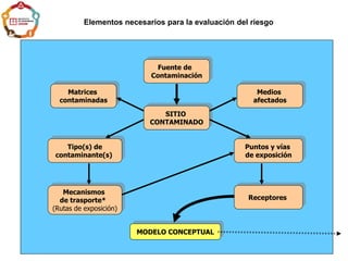 SITIO
CONTAMINADO
Fuente de
Contaminación
MODELO CONCEPTUAL
Matrices
contaminadas
Receptores
Tipo(s) de
contaminante(s)
Puntos y vías
de exposición
Mecanismos
de trasporte*
(Rutas de exposición)
Medios
afectados
Elementos necesarios para la evaluación del riesgo
 