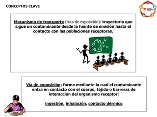 Mecanismo de transporte (ruta de exposición): trayectoria que
sigue un contaminante desde la fuente de emisión hasta el
contacto con las poblaciones receptoras.
Vía de exposición: forma mediante la cual el contaminante
entra en contacto con el cuerpo, tejido o barreras de
interacción del organismo receptor:
ingestión, inhalación, contacto dérmico
CONCEPTOS CLAVE
 