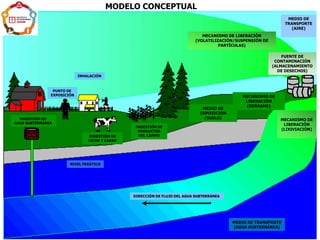 MODELO CONCEPTUAL
INGESTIÓN DE
AGUA SUBTERRÁNEA
INHALACIÓN
PUNTO DE
EXPOSICIÓN
NIVEL FREÁTICO
INGESTIÓN DE
LECHE Y CARNE
INGESTIÓN DE
PRODUCTOS
DEL CAMPO
DIRECCIÓN DE FLUJO DEL AGUA SUBTERRÁNEA
MEDIO DE TRANSPORTE
(AGUA SUBTERRÁNEA)
MEDIO DE
EXPOSICIÓN
(SUELO) MECANISMO DE
LIBERACIÓN
(LIXIVIACIÓN)
MECANISMO DE
LIBERACIÓN
(DERRAME)
FUENTE DE
CONTAMINACIÓN
(ALMACENAMIENTO
DE DESECHOS)
MEDIO DE
TRANSPORTE
(AIRE)
MECANISMO DE LIBERACIÓN
(VOLATILIZACIÓN/SUSPENSIÓN DE
PARTÍCULAS)
 