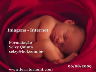 Imagens - InternetFormataçãoSelzy Quintaselzy@bol.com.brwww.territoriomt.com06/08/2009
